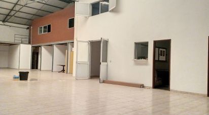 Pavillon T0 à Areias e Pias de 1 200 m²