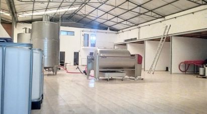 Pavillon T0 à Areias e Pias de 1 200 m²