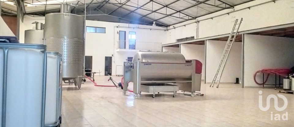 Pavillon T0 à Areias e Pias de 1 200 m²