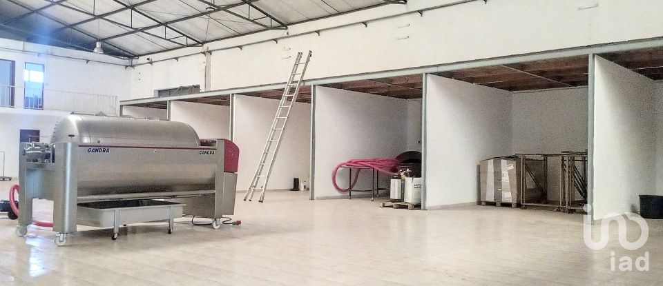 Pavillon T0 à Areias e Pias de 1 200 m²