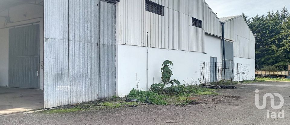 Pavillon T0 à Areias e Pias de 1 200 m²