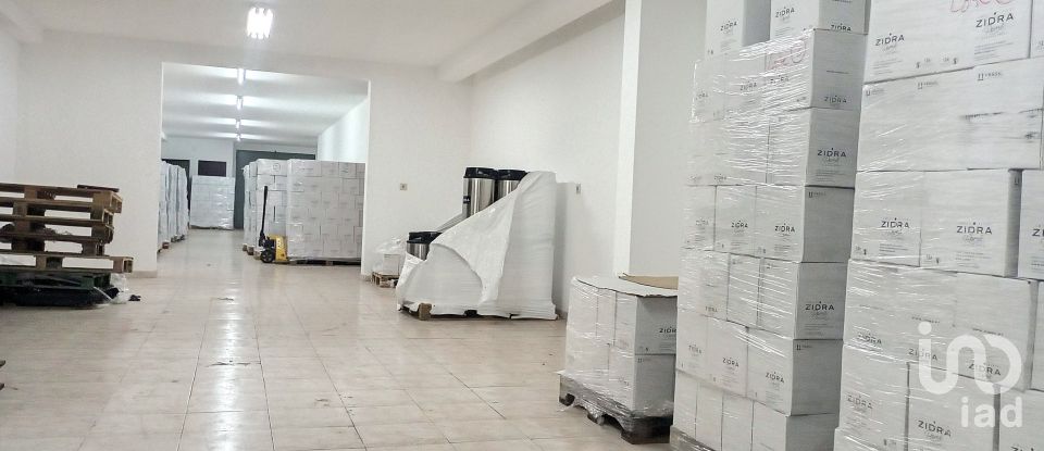 Pavillon T0 à Areias e Pias de 1 200 m²