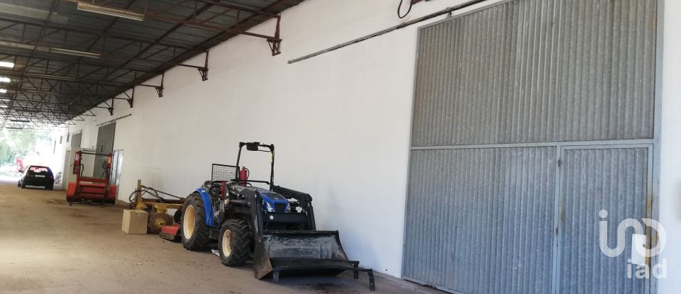 Pavillon T0 à Areias e Pias de 1 200 m²