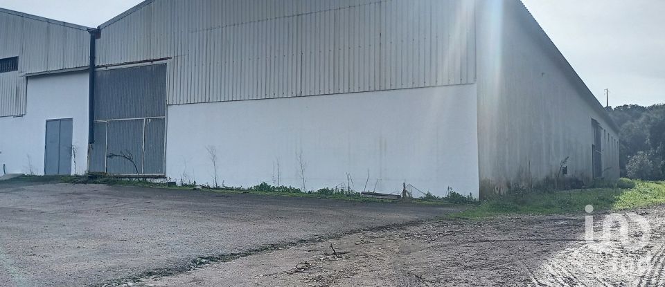 Pavillon T0 à Areias e Pias de 1 200 m²