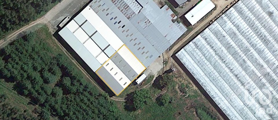 Pavillon T0 à Areias e Pias de 1 200 m²