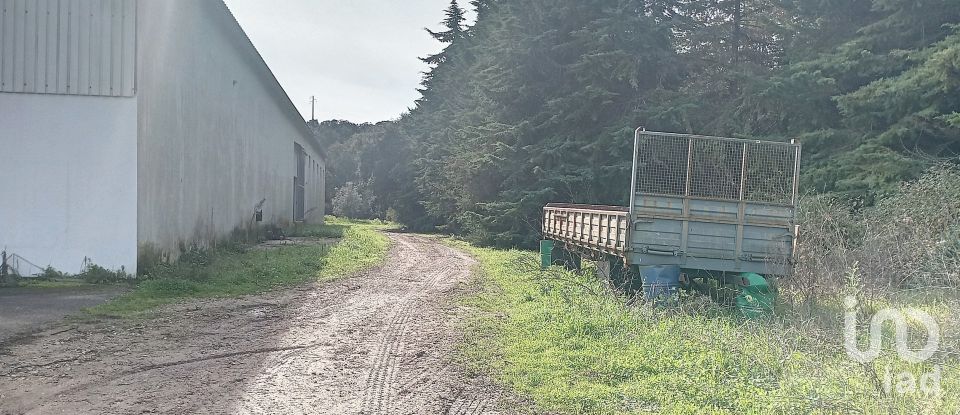 Pavillon T0 à Areias e Pias de 1 200 m²