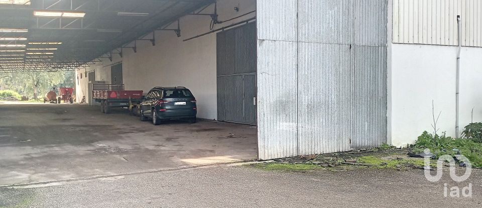 Pavillon T0 à Areias e Pias de 1 200 m²