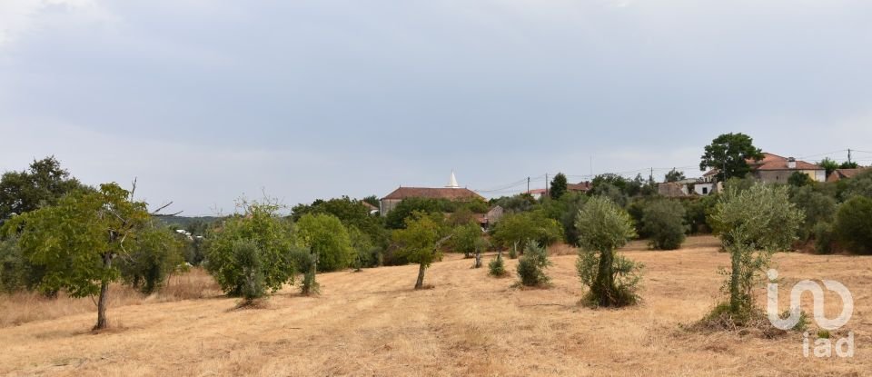 Maison T6 à Chãos de 265 m²