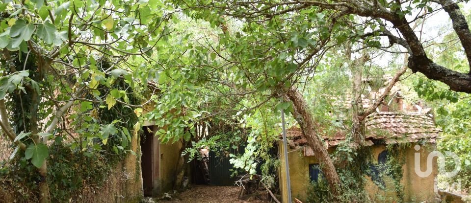 Maison T6 à Chãos de 265 m²