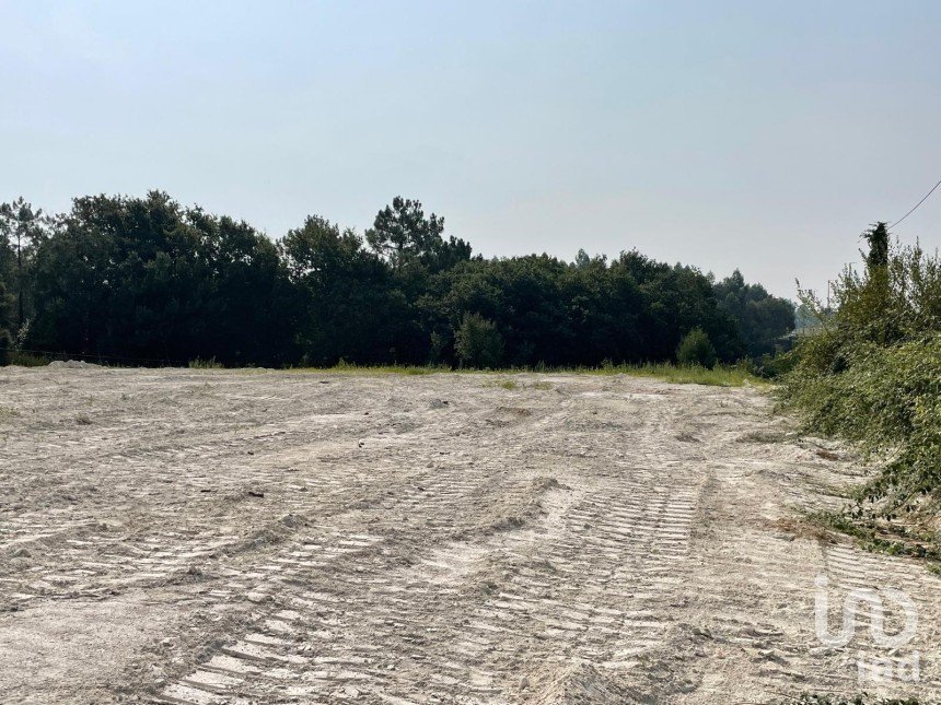 Land in Barcelos, Vila Boa e Vila Frescainha (São Martinho e São Pedro) of 3,265 m²