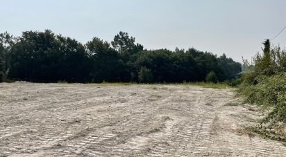 Terrain à Barcelos, Vila Boa e Vila Frescainha (São Martinho e São Pedro) de 3 265 m²