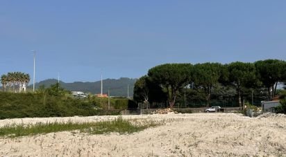 Land in Barcelos, Vila Boa e Vila Frescainha (São Martinho e São Pedro) of 3,265 m²