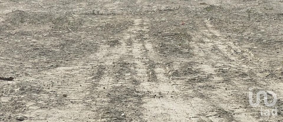 Land in Barcelos, Vila Boa e Vila Frescainha (São Martinho e São Pedro) of 3,265 m²