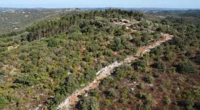 House T0 in Freixianda, Ribeira do Fárrio e Formigais of 86 m²