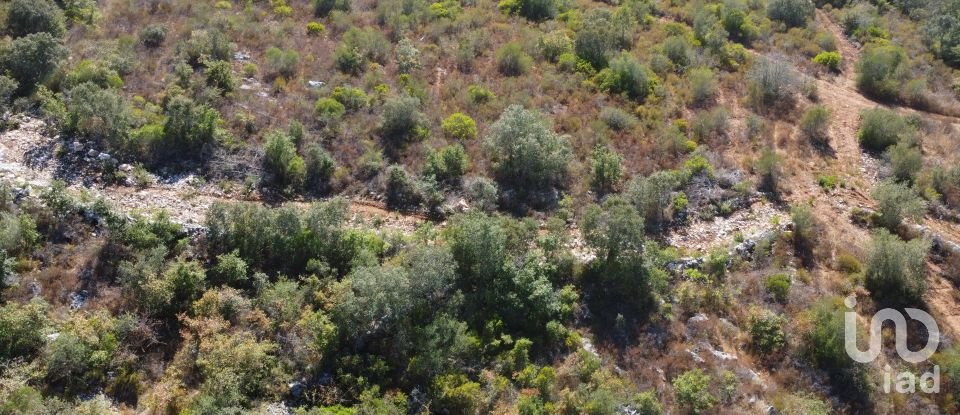 Maison T0 à Freixianda, Ribeira do Fárrio e Formigais de 86 m²