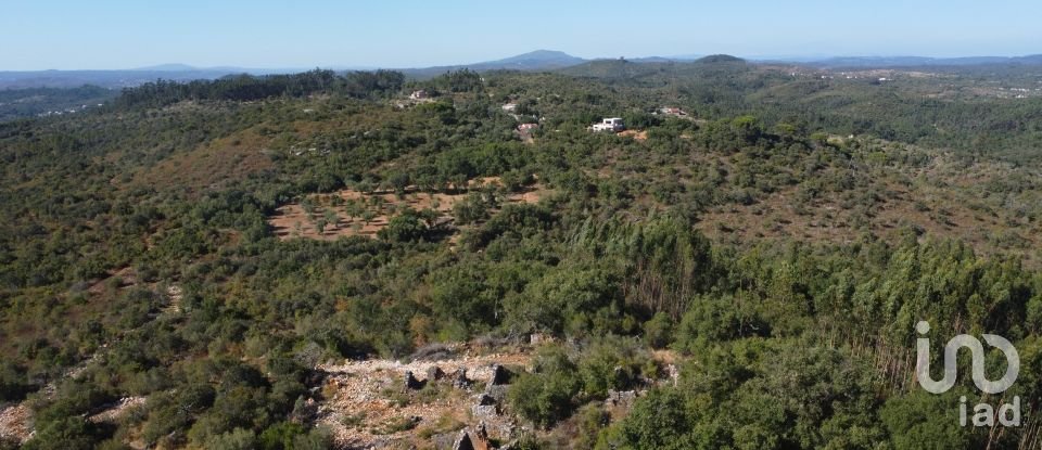 Maison T0 à Freixianda, Ribeira do Fárrio e Formigais de 86 m²