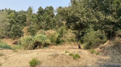 Terrain à Marrazes e Barosa de 2 200 m²