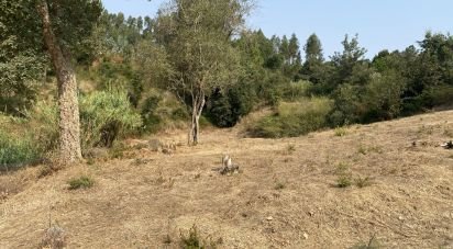 Terrain à Marrazes e Barosa de 2 200 m²