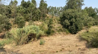 Terrain à Marrazes e Barosa de 2 200 m²