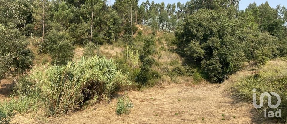 Terrain à Marrazes e Barosa de 2 200 m²