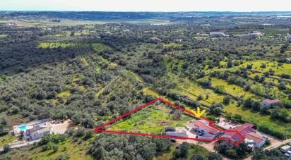 Farm T2 in Silves of 160 m²