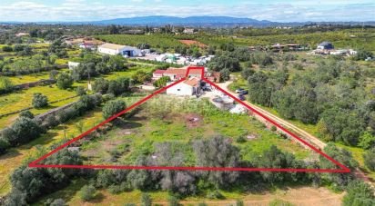 Ferme T2 à Silves de 160 m²
