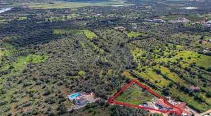 Ferme T2 à Silves de 160 m²