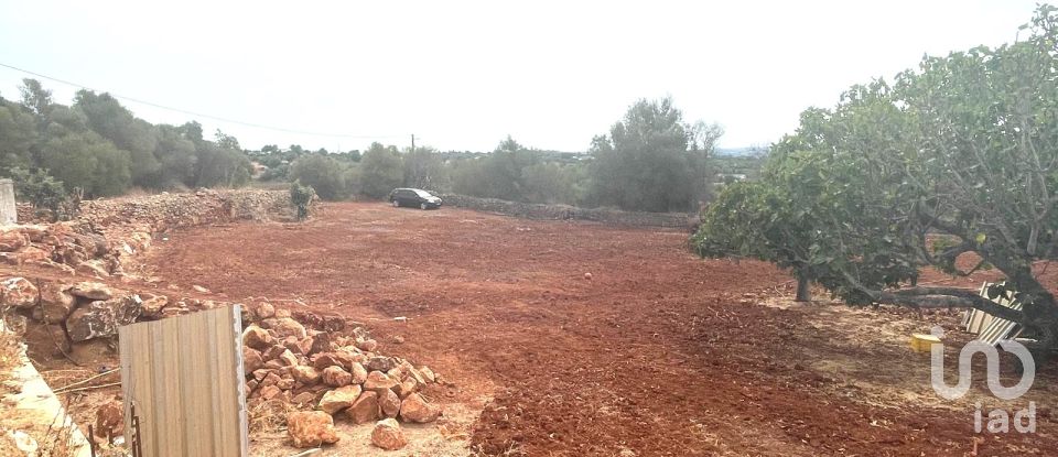 Ferme T2 à Silves de 160 m²