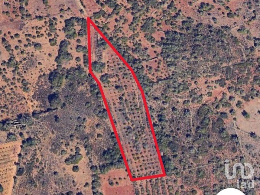 Terrain agricole à Silves de 8 360 m²