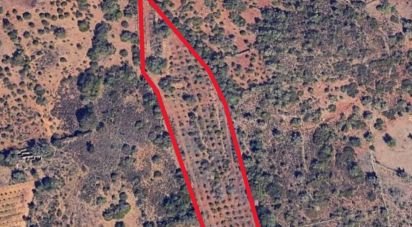 Farm land in Silves of 8,360 m²