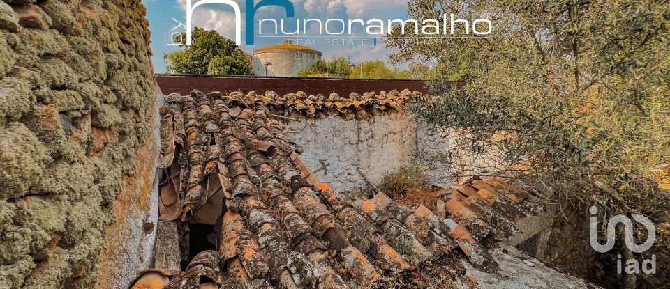 House T0 in Pinhel of 113 m²