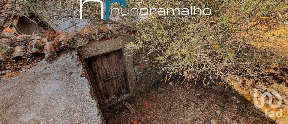 House T0 in Pinhel of 113 m²