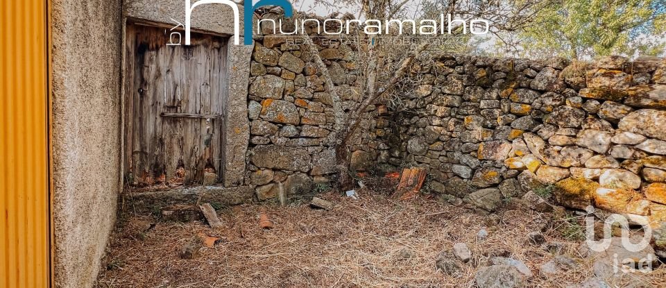 House T0 in Pinhel of 113 m²