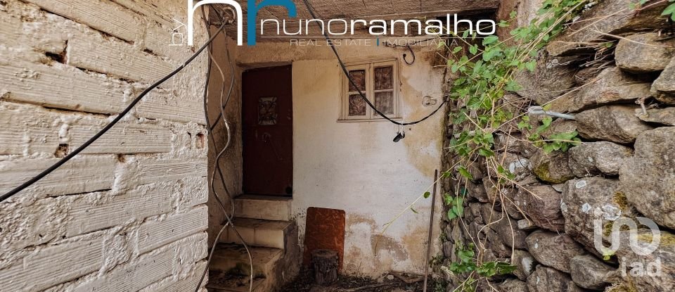 House T0 in Pinhel of 113 m²