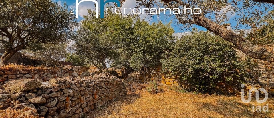 House T0 in Pinhel of 113 m²