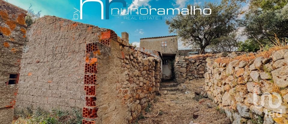 House T0 in Pinhel of 113 m²