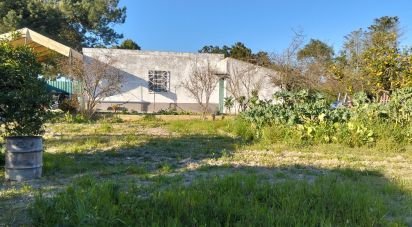 Terrain à bâtir à Pinhal Novo de 2 250 m²