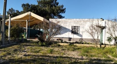 Terrain à bâtir à Pinhal Novo de 2 250 m²