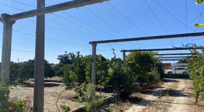 Terrain à bâtir à Pinhal Novo de 2 250 m²