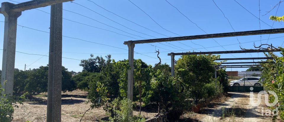 Terrain à bâtir à Pinhal Novo de 2 250 m²