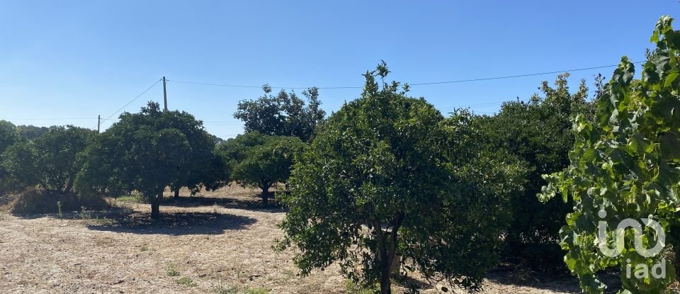 Terrain à bâtir à Pinhal Novo de 2 250 m²