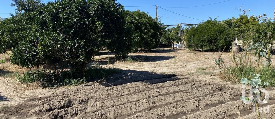 Terrain à bâtir à Pinhal Novo de 2 250 m²