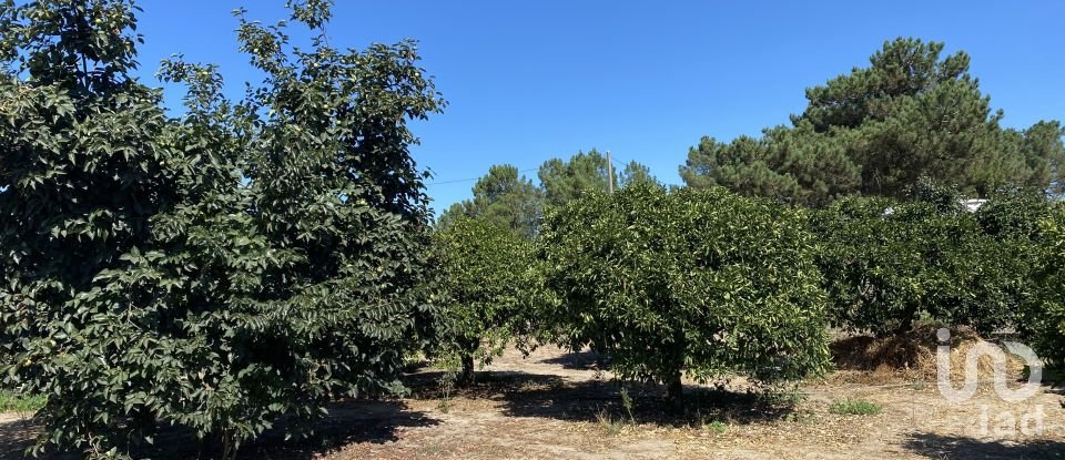 Terrain à bâtir à Pinhal Novo de 2 250 m²