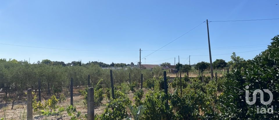 Terrain à bâtir à Pinhal Novo de 2 250 m²