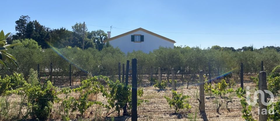 Terrain à bâtir à Pinhal Novo de 2 250 m²