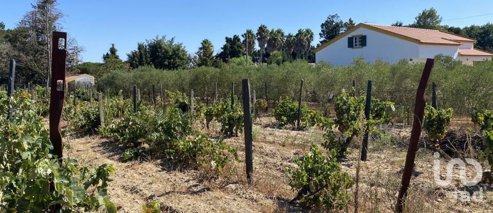 Terrain à bâtir à Pinhal Novo de 2 250 m²