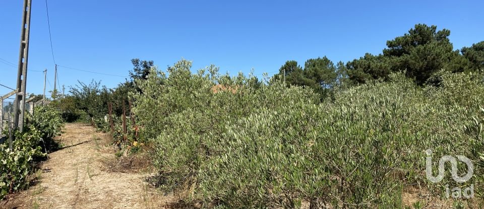 Terrain à bâtir à Pinhal Novo de 2 250 m²