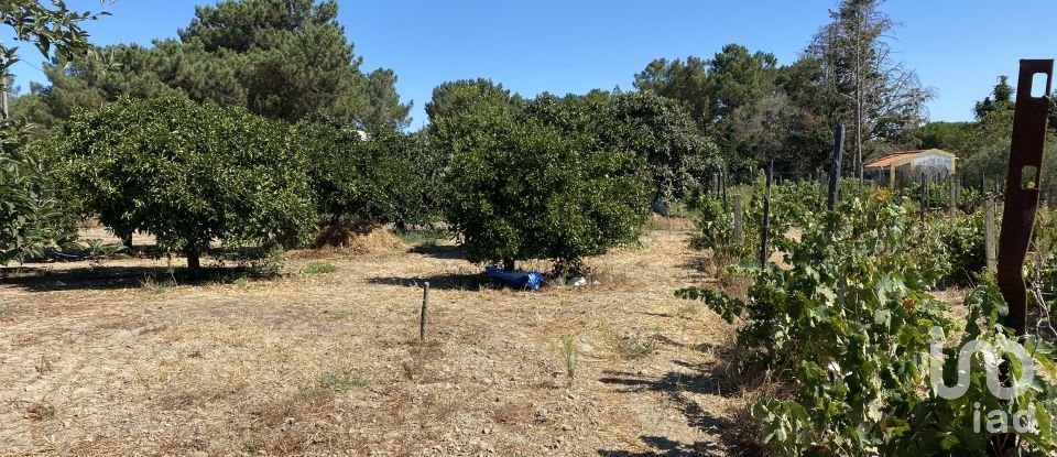 Terrain à bâtir à Pinhal Novo de 2 250 m²