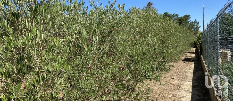 Terrain à bâtir à Pinhal Novo de 2 250 m²