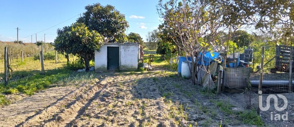 Terrain à bâtir à Pinhal Novo de 2 250 m²